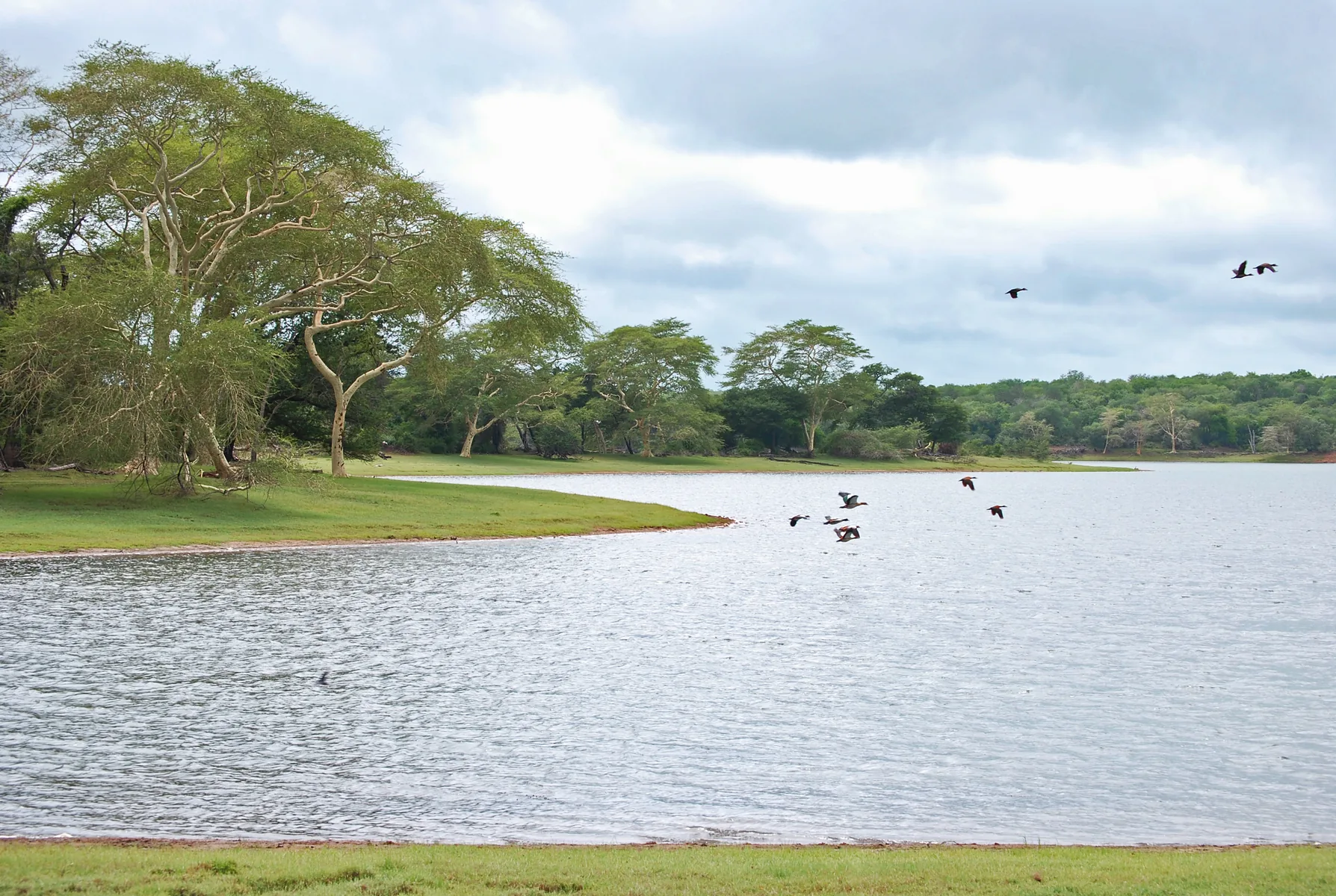 Nyamithi Pan in the Zululand and Maputaland region