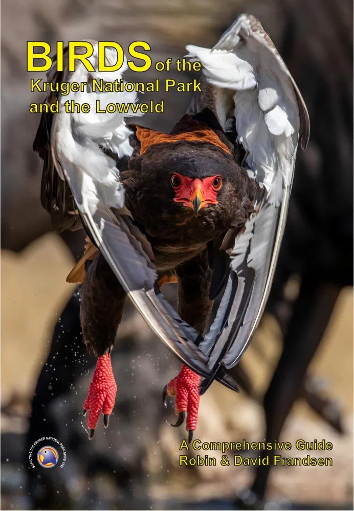 Birds of the Kruger National Park and the Lowveld