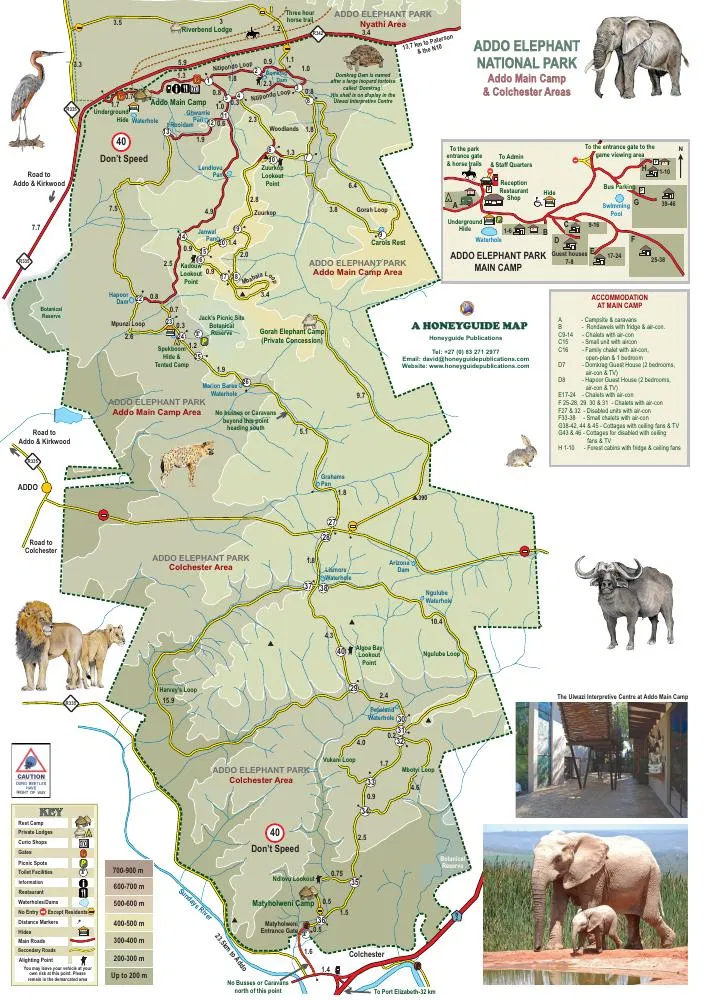 Addo Elephant National Park wall map