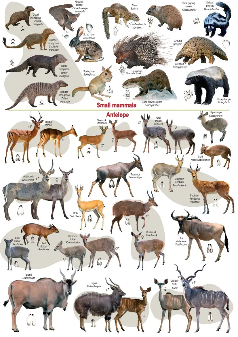 Zululand map book preview page 10